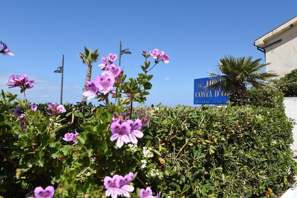 Hotel Costa D'Oro Santa Maria di Castellabate Kültér fotó
